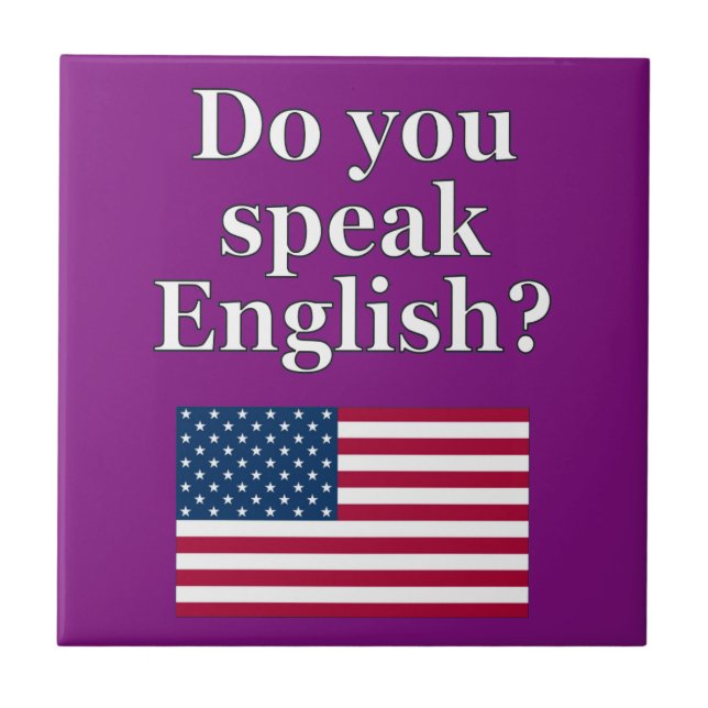 "Você fala inglês?" em inglês. Sinalizador (Frente)