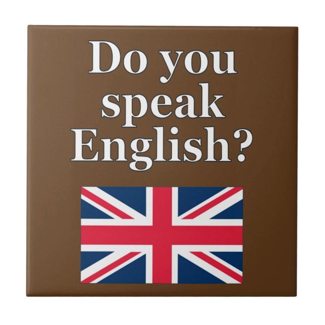 "Você fala inglês?" em inglês. Sinalizador (Frente)