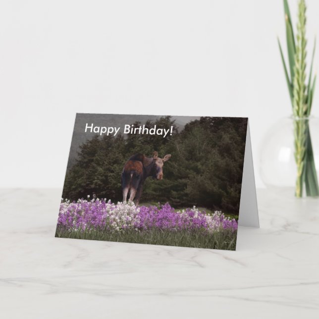 Você foi apunhalado por um alce! Cartão de Anivers (Frente)