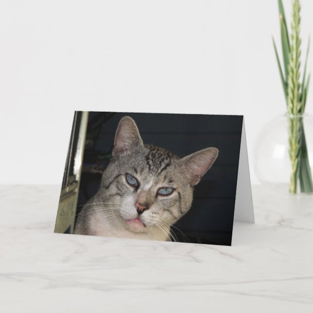 Você Me Faz Um Cartão De Aniversário Puro (Frente)