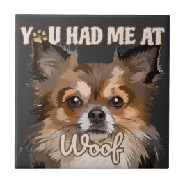 Você Me Teve No Meio | Pomeranianos De Cães