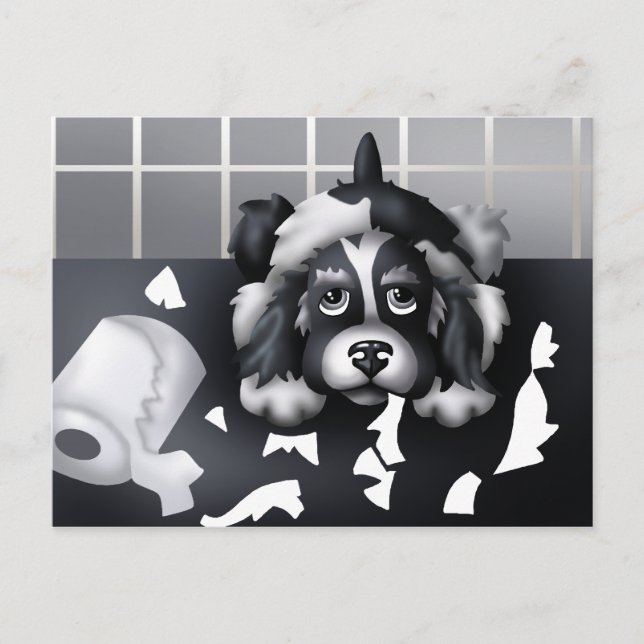 Você não pode provar nada: Cartão Postal (Frente)