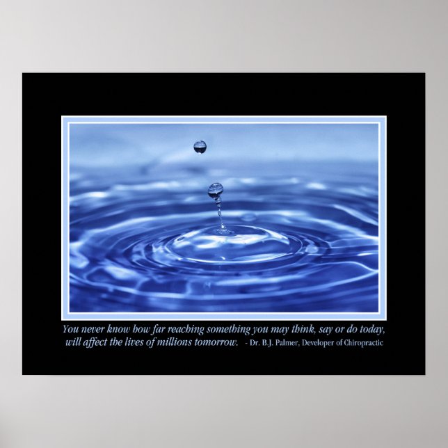 Você Nunca Conhece B J Palmer Quote Poster (Frente)