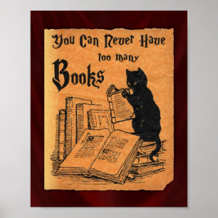 Você Nunca Pode Ter Muitos Livros, Cat Poster