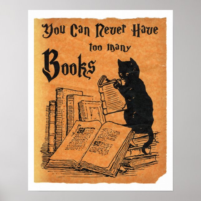 Você Nunca Pode Ter Muitos Livros Gata Poster (Frente)