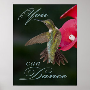 Você pode dançar o poster do colibri