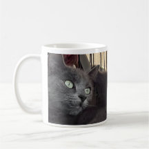 Você Será Sempre Meu Bebê. Caneca de Café de Gato