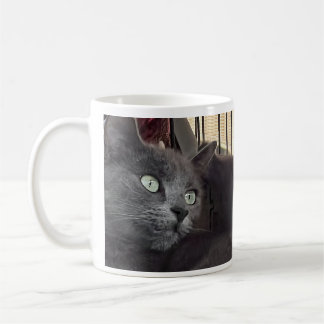 Você Será Sempre Meu Bebê. Caneca de Café de Gato