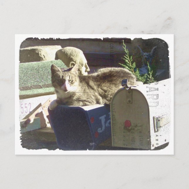 Você tem cartão postal de correio (Frente)