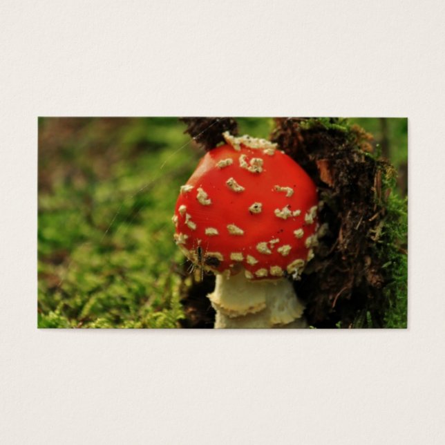 Voe Agaric (Frente)