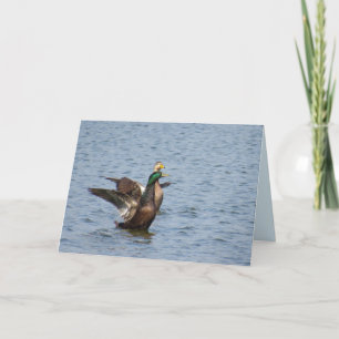 Voe Comigo - Cartão de Saudação Mallard Duck