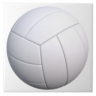 VOLLYBALL