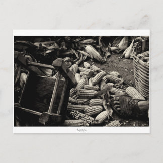 VOLTAR AO cartão postal BÁSICO