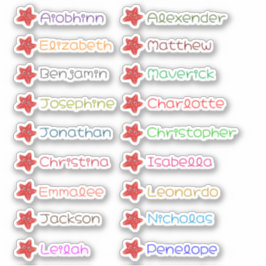 Voltar aos adesivos de múltiplos nomes personaliza