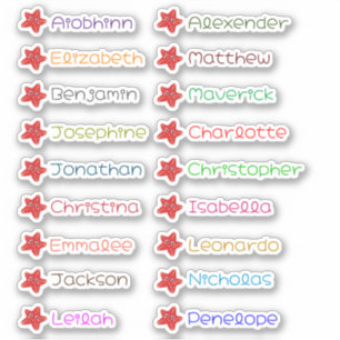 Voltar aos adesivos de múltiplos nomes personaliza