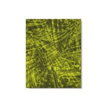 Voo de canvas abstrato de rosella verde