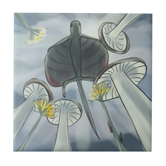 Voo de Draco (Frente)