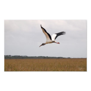 Vôo de um impressão da foto da cegonha de madeir