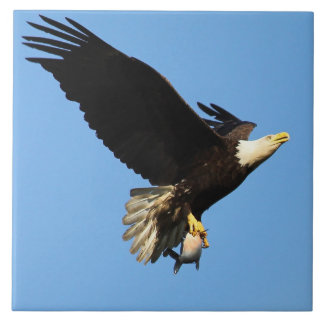 Voo Eagle