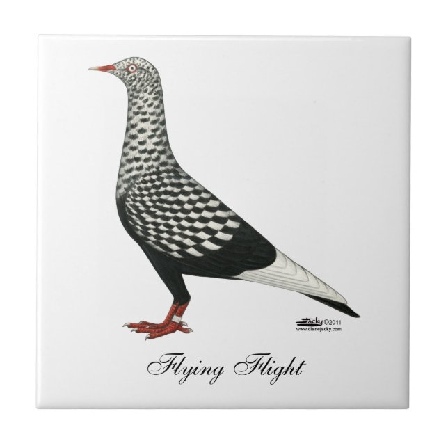 Voo Voador Teager Pigeon (Frente)
