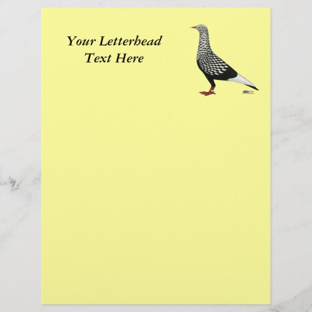 Voo Voador Teager Pigeon (Frente)