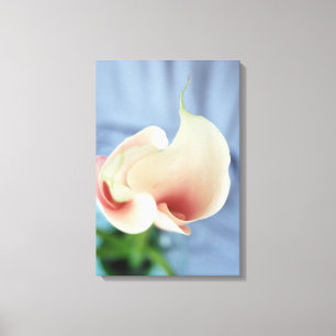 Vórtex White Calla Lily Floral Canvas