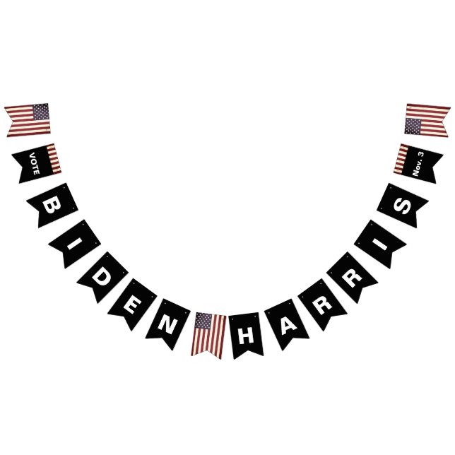 Votação: 3 de novembro Bandeira de Bunting Flag (Todos)