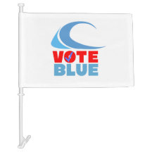 VOTAÇÃO AZUL