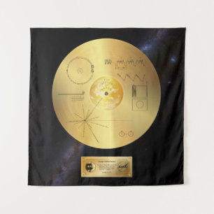 Voyager 1 Registro de Ouros - Tapeçaria