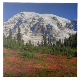 WA, Parque Nacional do Mt. Rainier, Vale do Paraí