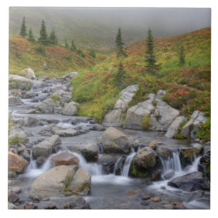 WA, Parque Nacional Mt. Rainier, Edith Creek