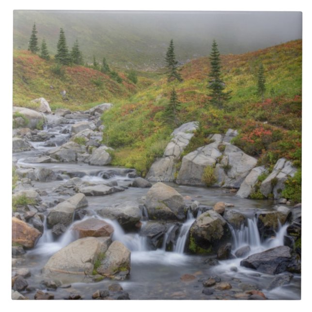 WA, Parque Nacional Mt. Rainier, Edith Creek (Frente)