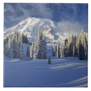 WA, Parque Nacional Mt. Rainier, Mt. Rainier e Par