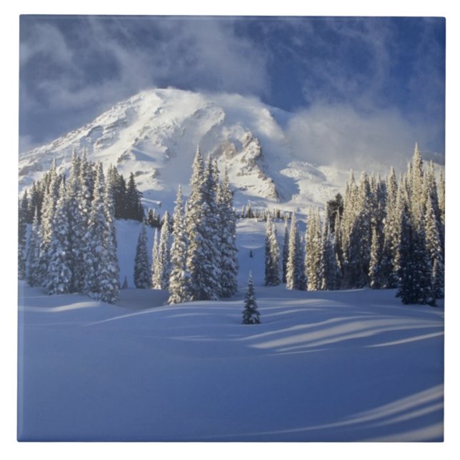 WA, Parque Nacional Mt. Rainier, Mt. Rainier e Par (Frente)