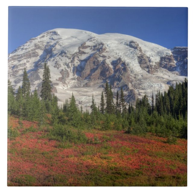 WA, Parque Nacional Mt. Rainier, Paradise Valley (Frente)