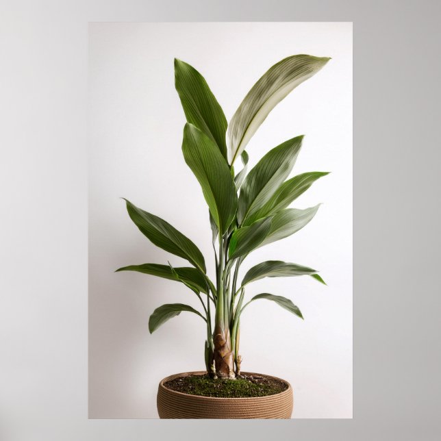 Wabi-Sabi Art Poster (Frente)