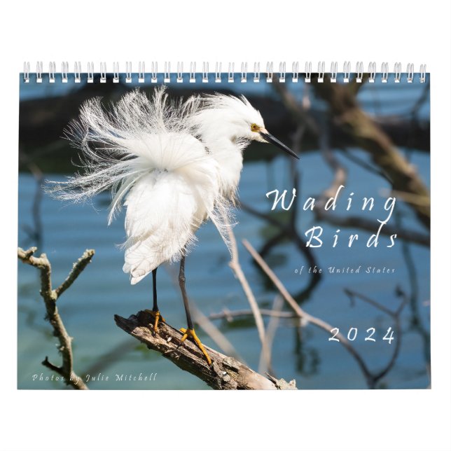 Wading Birds of the USA - Calendário Original 2024 (Capa)