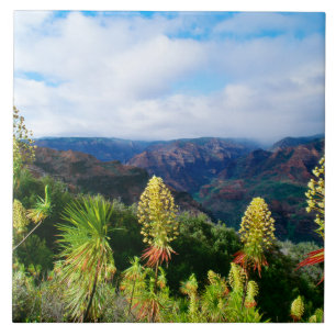 Waimea Canyon Kauai, Havaí