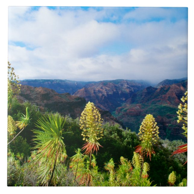 Waimea Canyon | Kauai, Havaí (Frente)