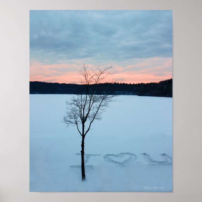 Walden Pond I Love U: Winter Love poster (Frente)