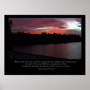 Walden Pond Poster - Nota de Amor ao Céu