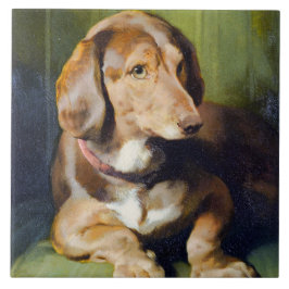 Waldmann - Linda imagem do século 19 do Cachorro B