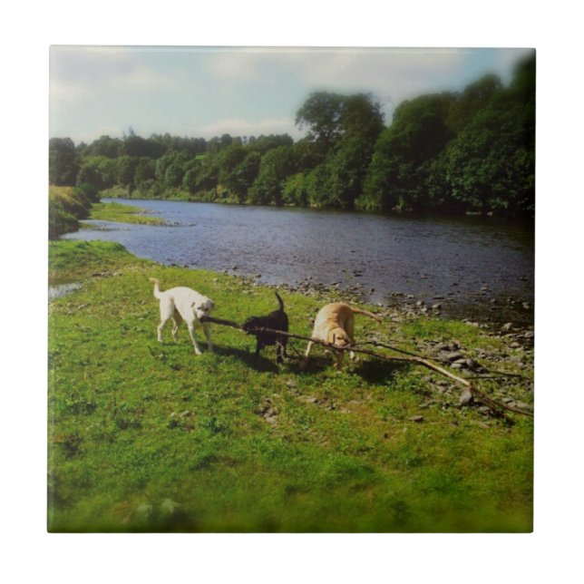 Walkies (Frente)