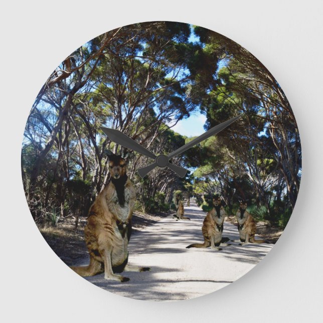 Wallaby Australiano Em Estrada, Relógio Grande (Frente)