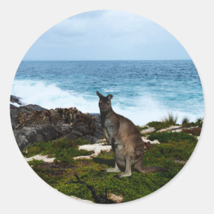 Wallaby Em Rochas Ao Lado, Adesivos Redondos