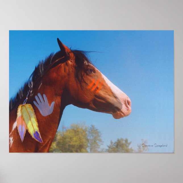 War pony Paint horse Feathers Poster (Frente)