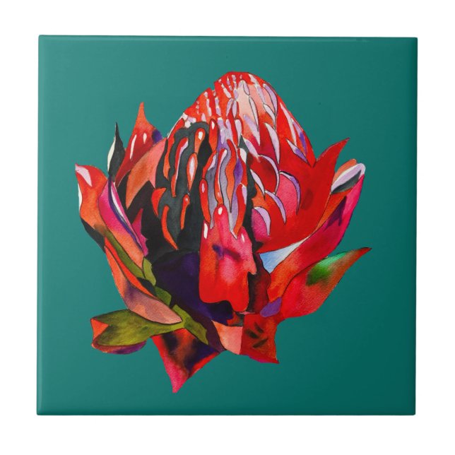 Waratah, cor-de-água natural da Austrália (Frente)