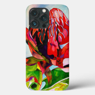 Waratah flor nativa australiana aquarela