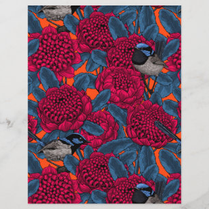 Waratah Vermelho e forras-de-fada