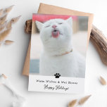 Warm Wet Kisses e Cartão de Saudação de Gato<br><div class="desc">Envie um pouco de amor para este feriado com estes adoráveis cartões com fotos de gatos "Desejos quentes e beijos molhados".</div>
